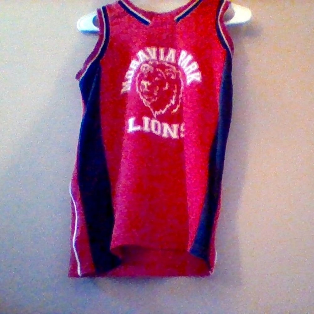 ( Moravia Park Lions ) basketball jersey #12
